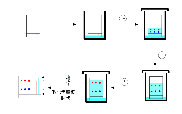 Tlc_sequence-01.jpg